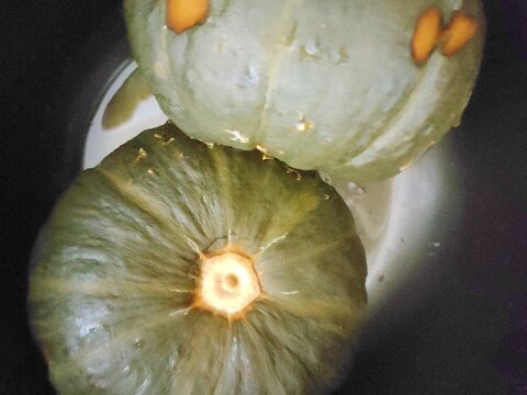 炊飯器で坊ちゃんかぼちゃの丸ごと蒸し